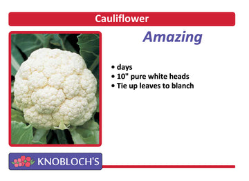 Cauliflower - Amazing