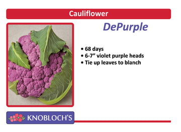 Cauliflower - De Purple