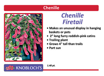 Chenille - Firetail