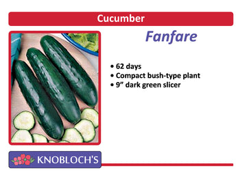 Cucumber - Fanfare