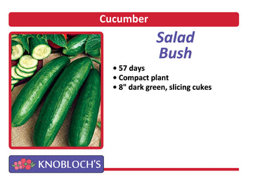 Cucumber - Salad Bush