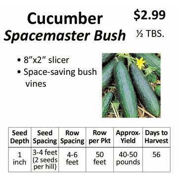 Cucumber - Spacemaster Bush (seeds)