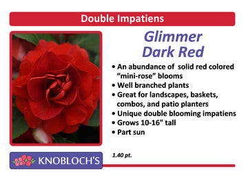 Impatiens - Dbl. Glimmer Dark Red