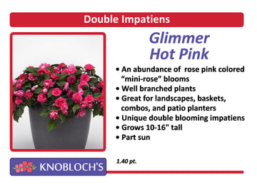 Impatiens - Dbl. Glimmer Hot Pink