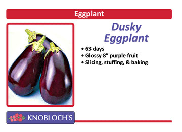 Eggplant - Dusky