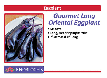 Eggplant - Gourmet Long Oriental