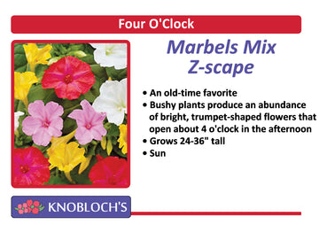 Four O' Clocks - Marbels Mix
