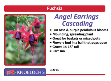 Fuchsia - Angel Earrings Cascading