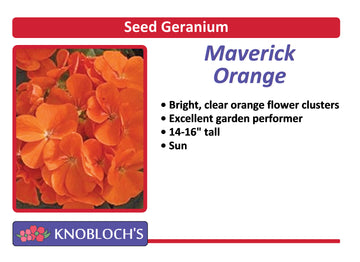 Geranium - Maverick Orange