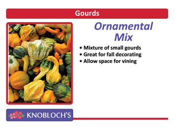 Gourds - Ornamental Mix