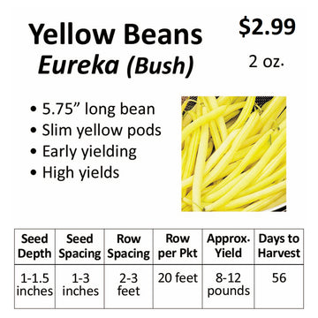 Beans - Yellow Bean Eureka (seeds)