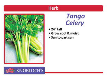Celery - Tango
