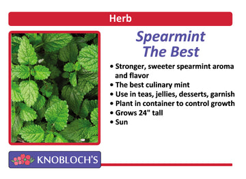 Mint - Spearmint The Best