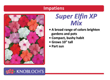 Impatiens - Super Elfin XP Mix (3 pk)