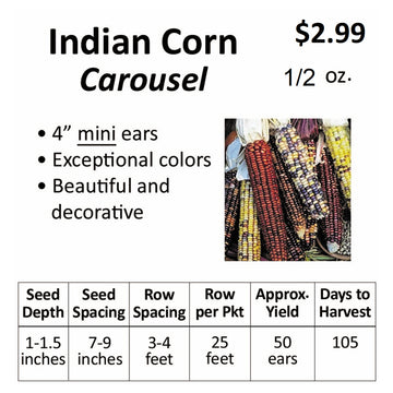 Corn - Indian Corn Carousel (seeds)