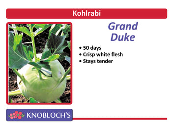 Kohlrabi - Grand Duke