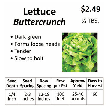 Lettuce - Buttercrunch (seeds)
