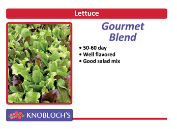 Lettuce - Gourmet Blend