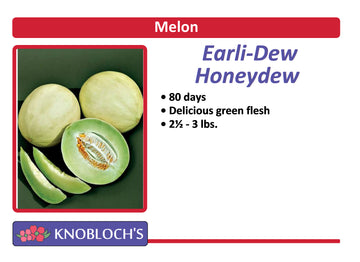 Melon - Honeydew Earli-Dew