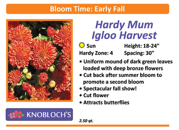 Mum (Hardy) - Igloo Harvest