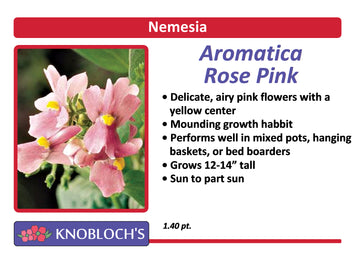 Nemesia - Aromatica Rose Pink