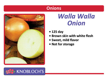 Onion - Walla Walla