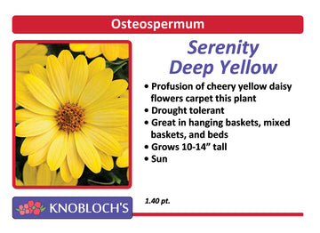 Osteo - Serenity Deep Yellow