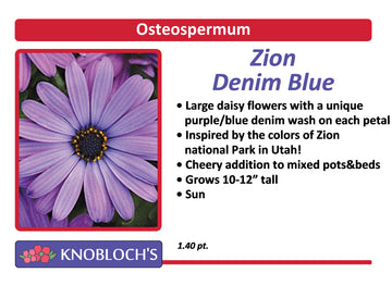 Osteo - Zion Denim Blue