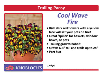 Pansy Trailing - Cool Wave Fire
