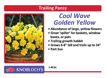 Pansy Trailing - Cool Wave Golden Yellow