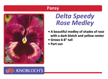 Pansy - Delta Speedy Rose Medley