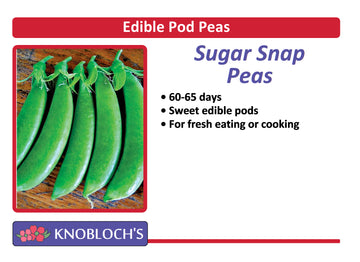 Peas - Sugar Snap