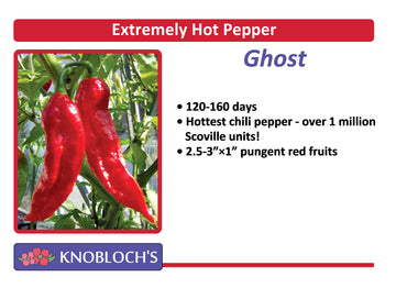 Pepper - Ghost