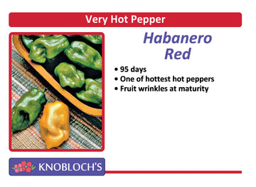 Pepper - Habanero