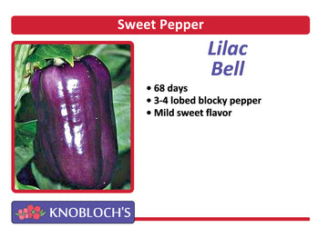 Pepper - Lilac Bell