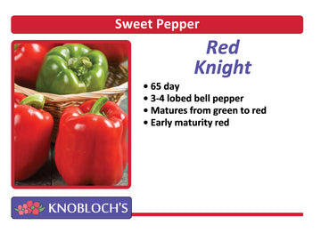 Pepper - Red Knight