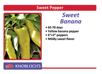Pepper - Sweet Banana