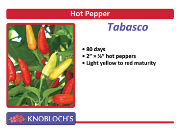 Pepper - Tabasco