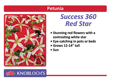 Petunia Traditional - Success! 360 Red Star (3 pk)