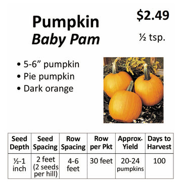 Pumpkin - Baby Pam (seeds)