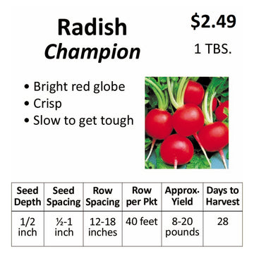 Radish - Champion (seeds)