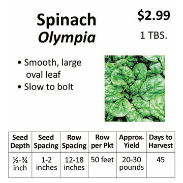 Spinach - Olympia (seeds)