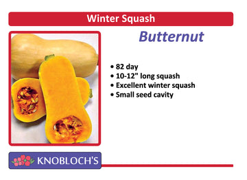 Winter Squash - Butternut