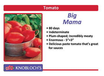 Tomato - Big Mama
