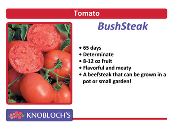 Tomato - BushSteak