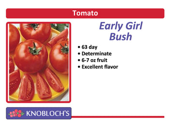 Tomato - Early Girl Bush
