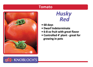 Tomato - Husky Red
