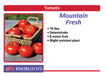 Tomato - Mountain Fresh