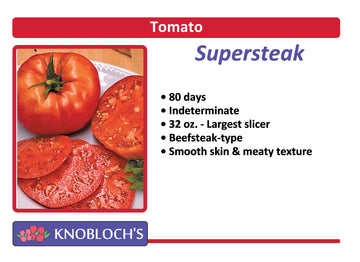 Tomato - Supersteak