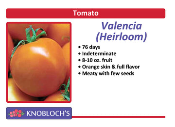 Tomato - Valencia (Heirloom)